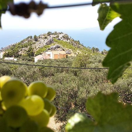 Apartment Ivo Veliko Brdo Makarska Luaran gambar
