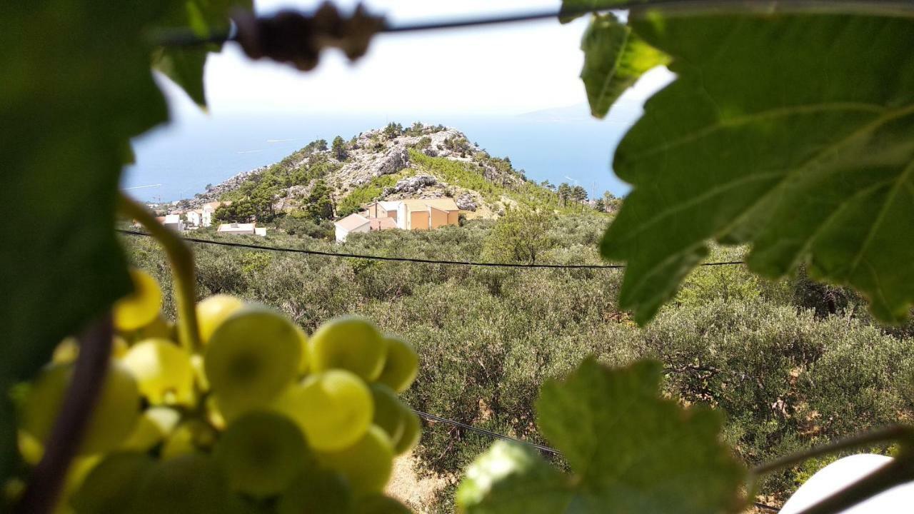 Apartment Ivo Veliko Brdo Makarska Luaran gambar